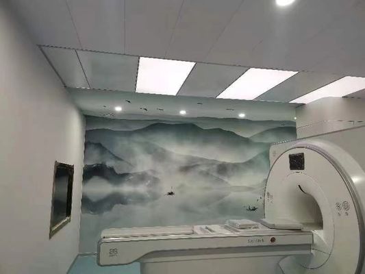 100dB MRT Pokój osłonięty Ochrona Faradaya Klatka Faradaya Dostosowalne drzwi